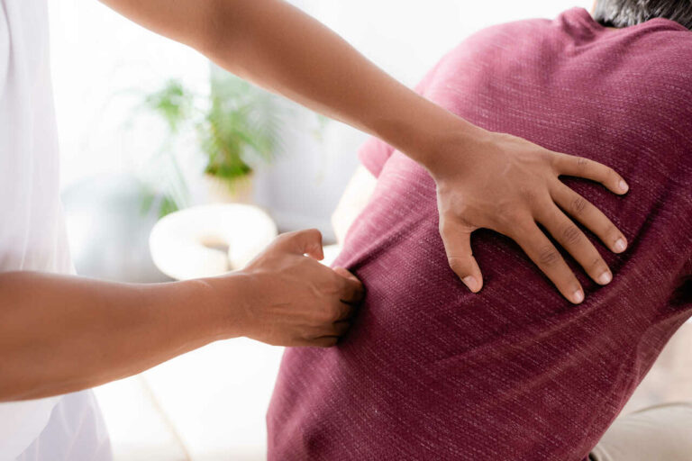 chiropractor for back pain edmonton south
